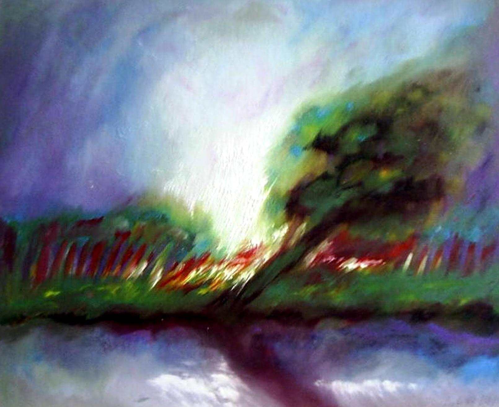 landschap30