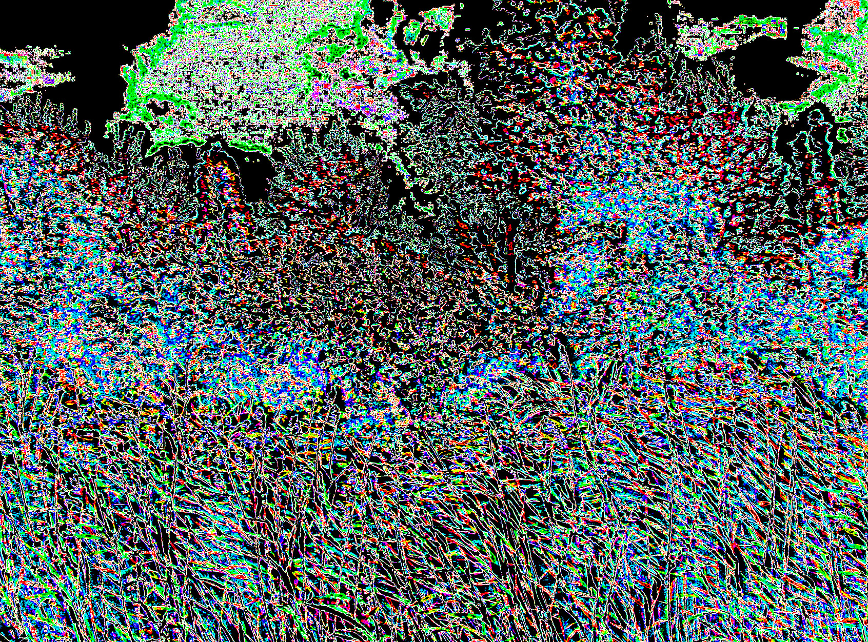 lndsww1a