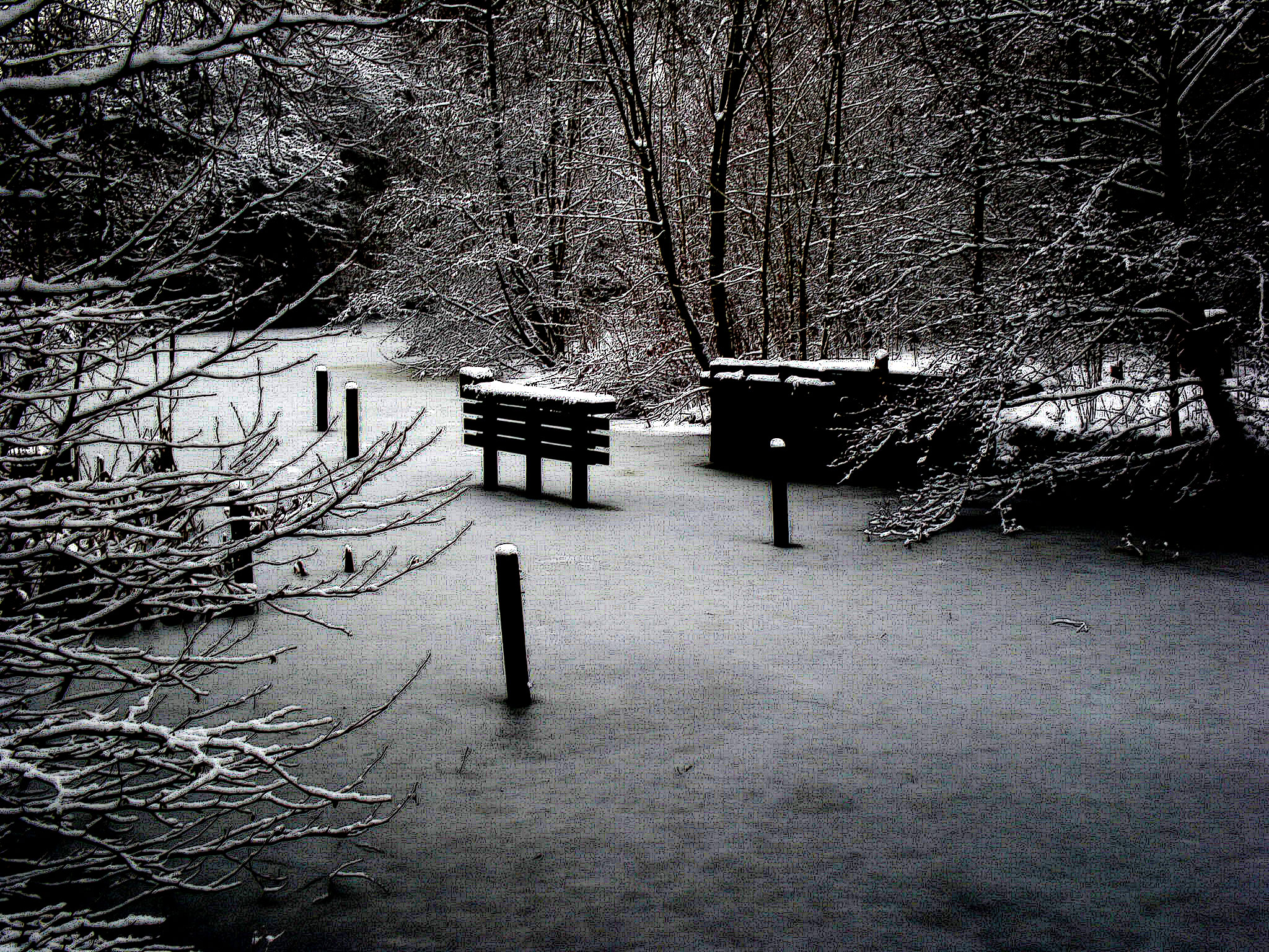 sneeuw 2010 077a
