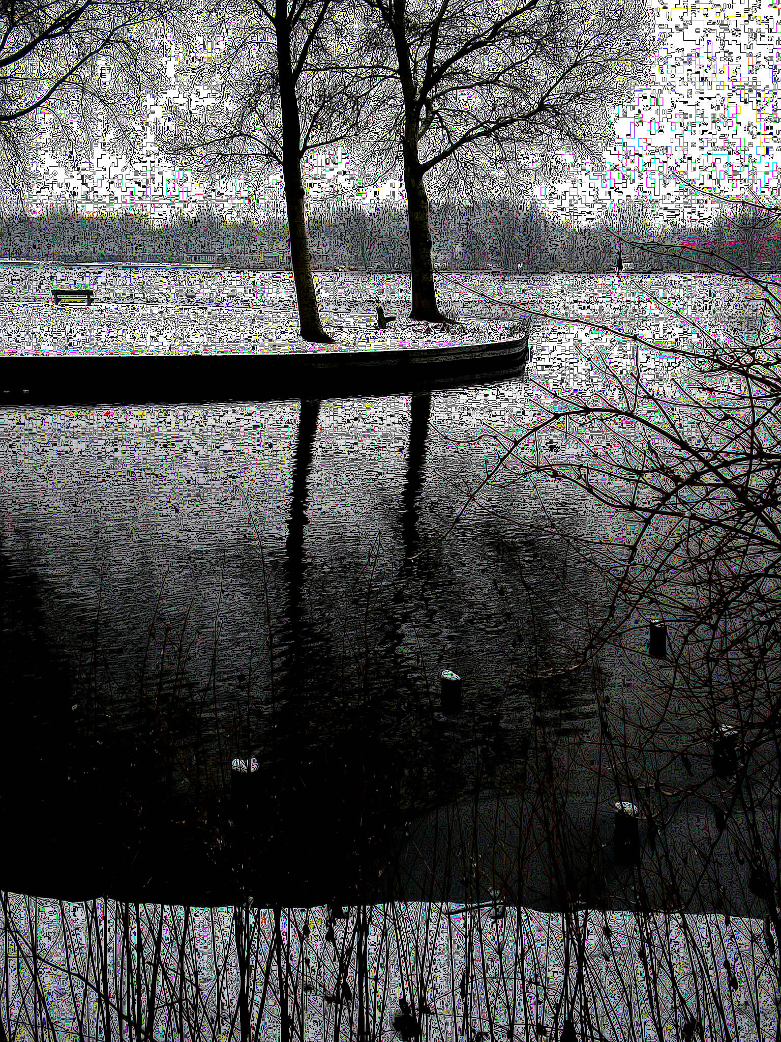 sneeuw 2010 084