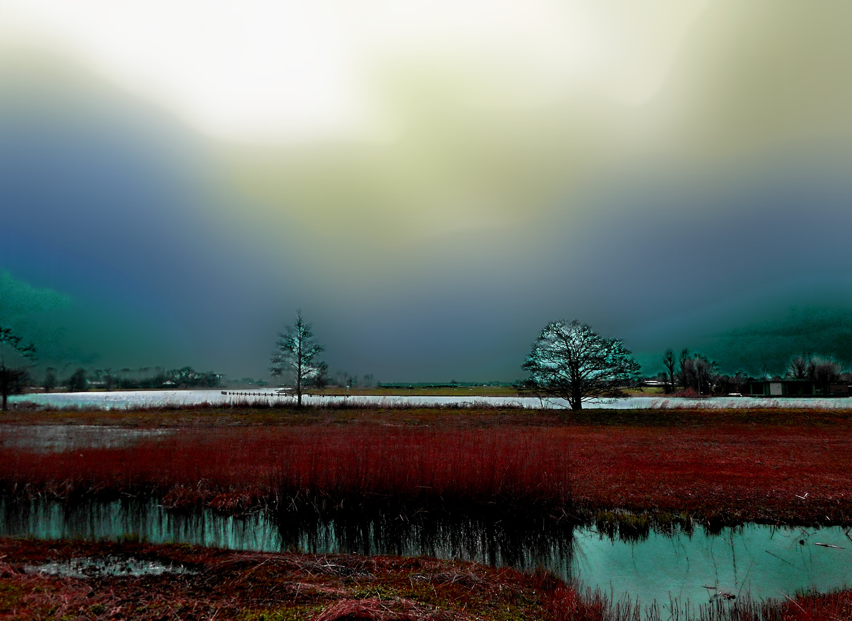 vecht1