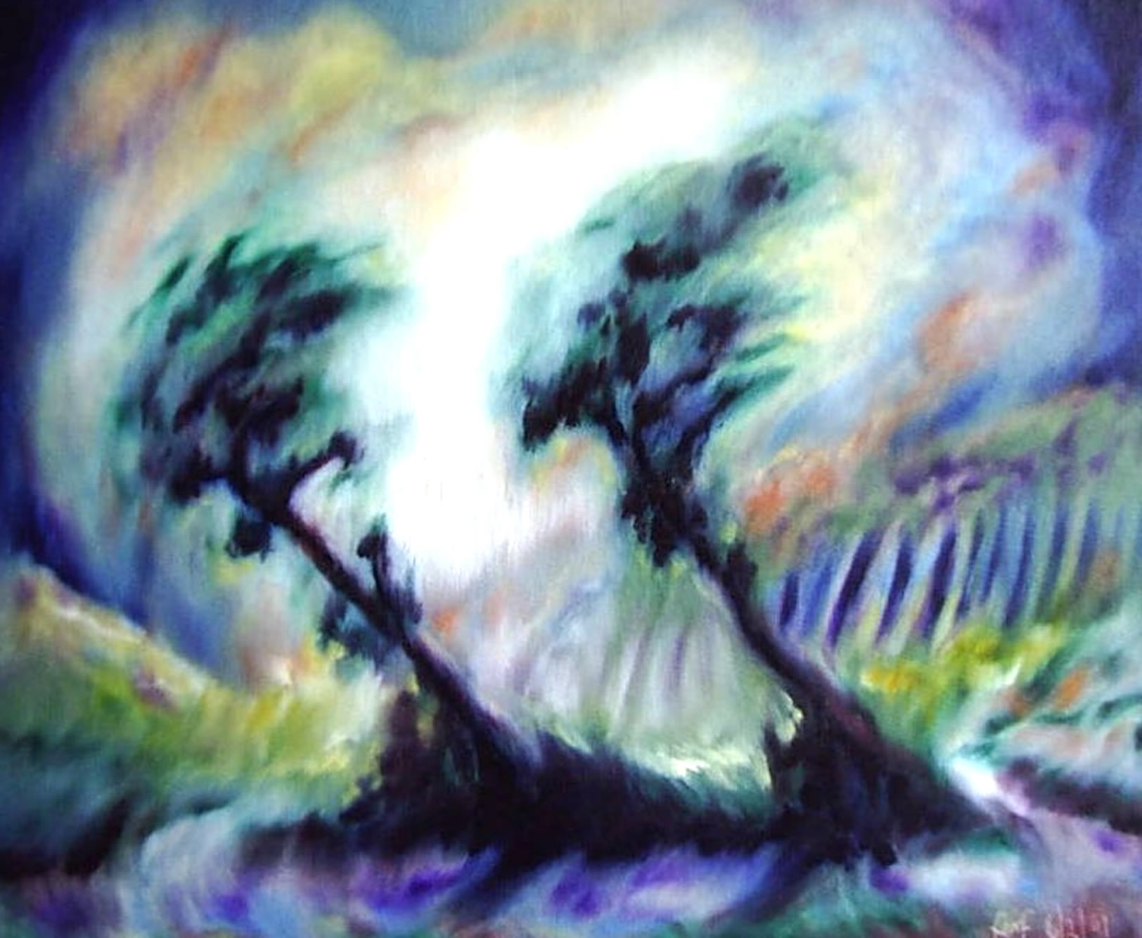 vlandschap28