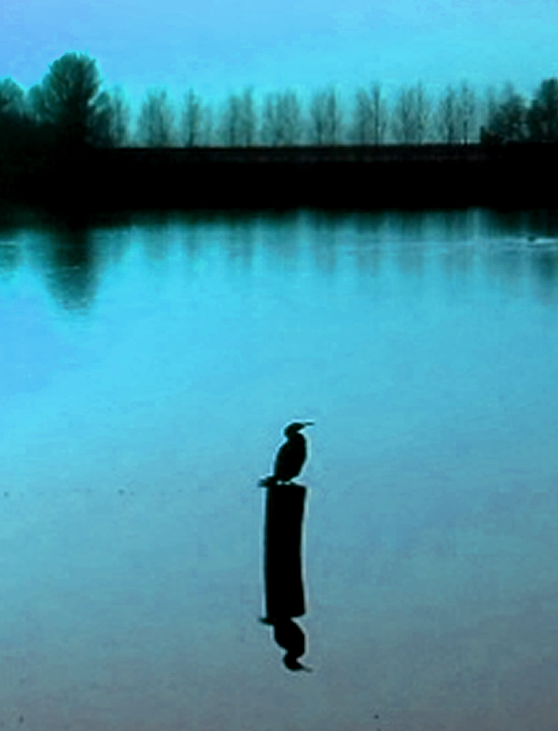 zPIC_0032a