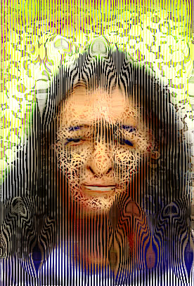2007 1eeee